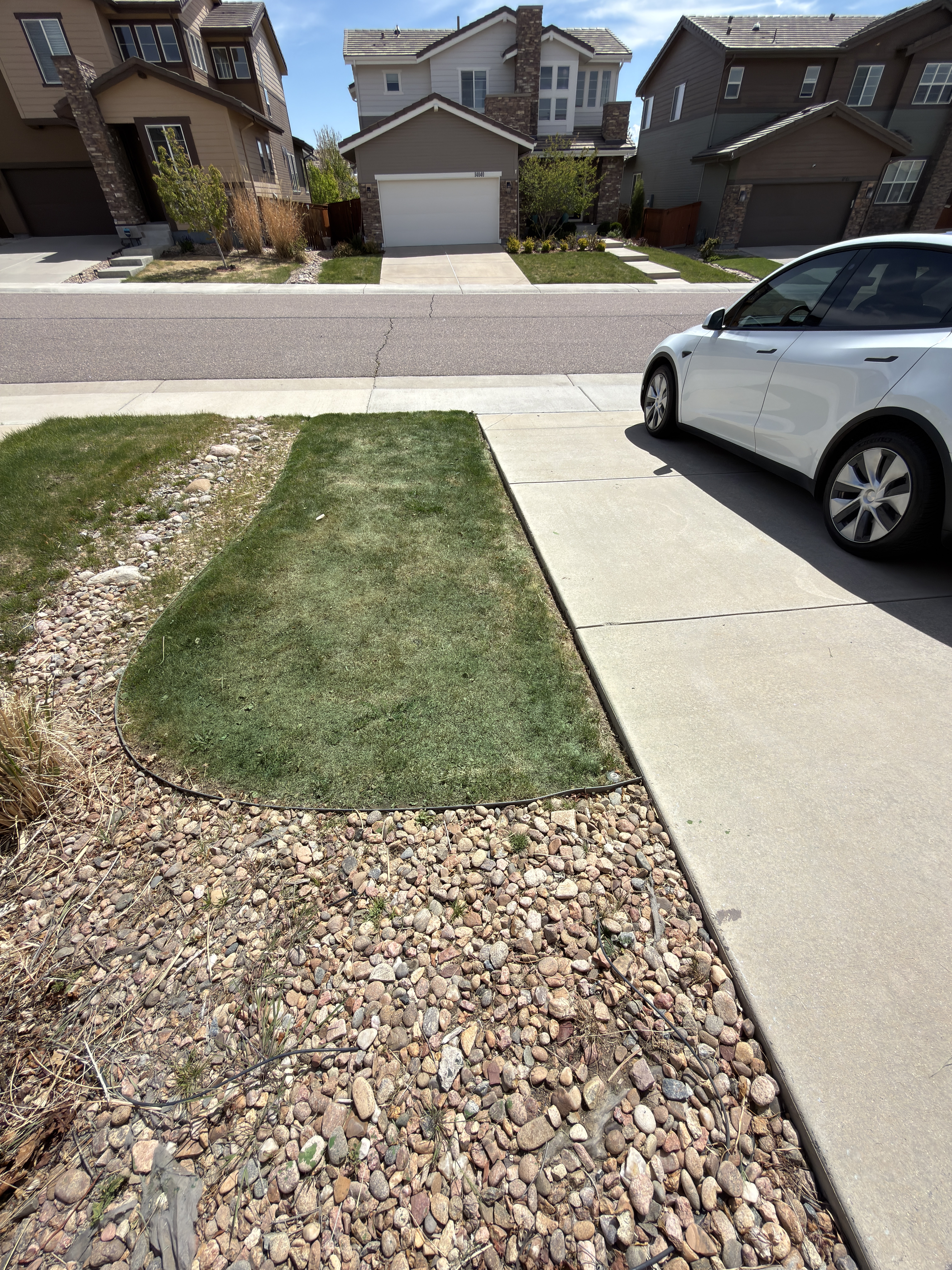 After grass painting side one