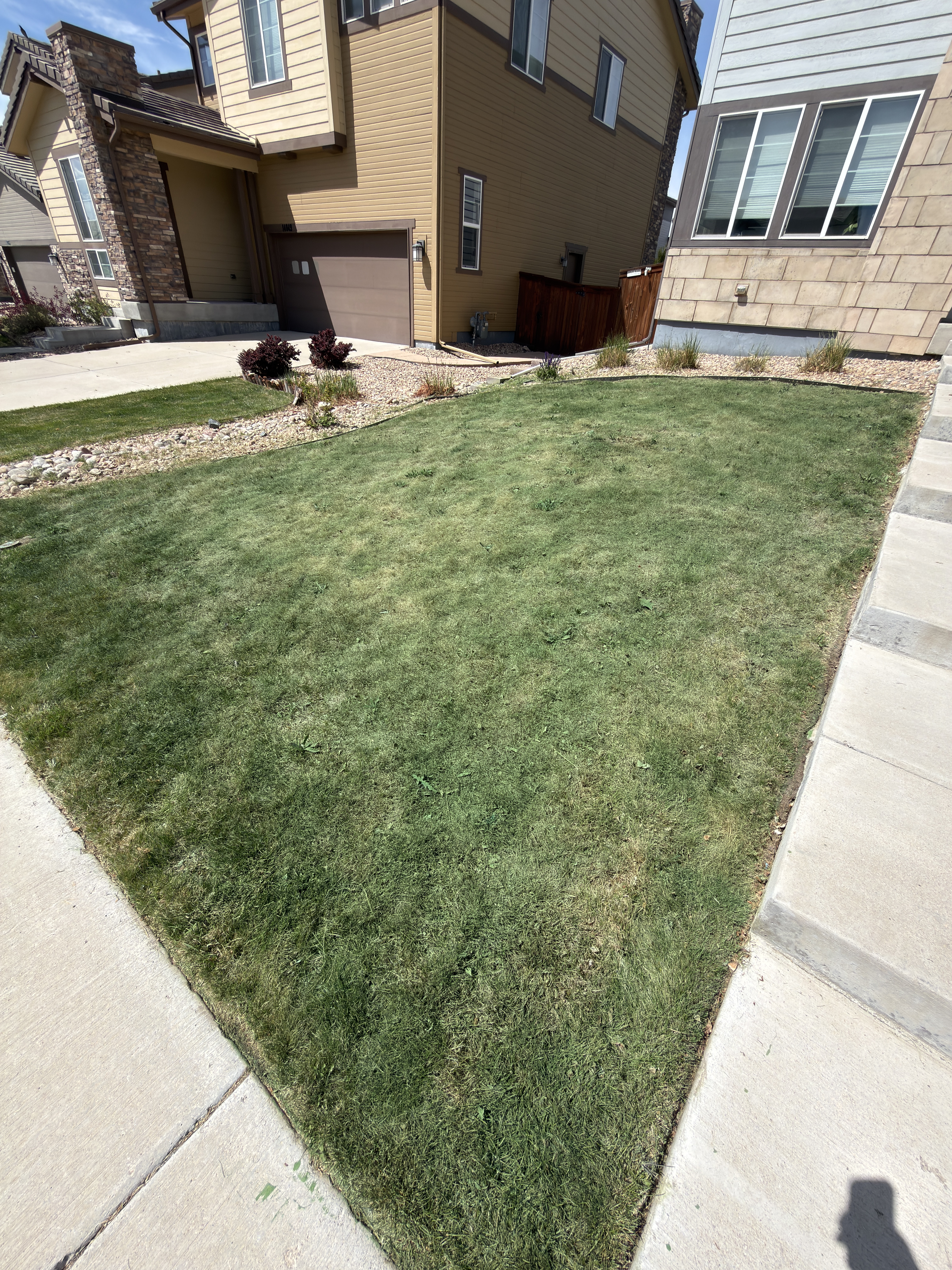 After grass painting side two
