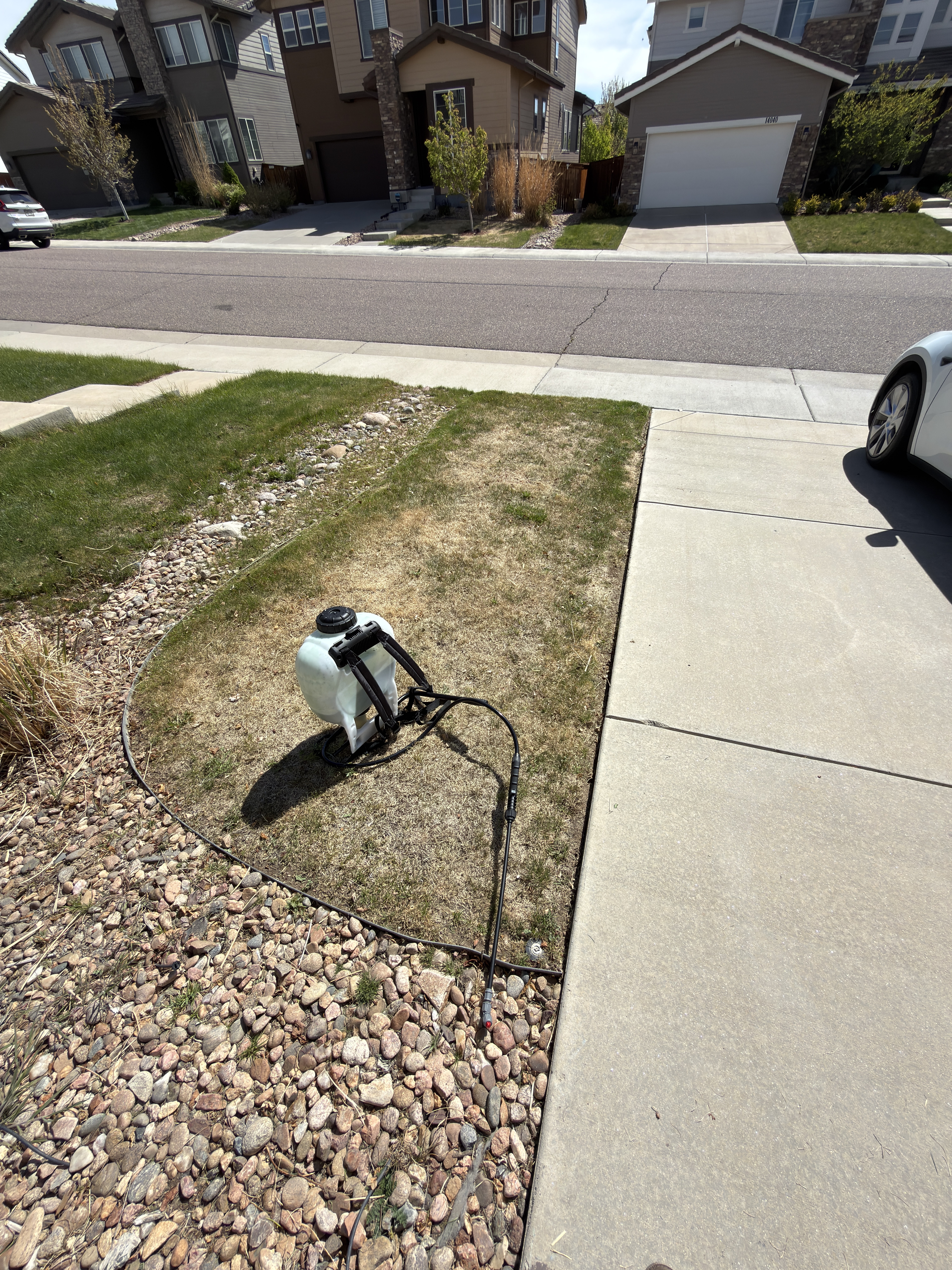 Before grass painting side one