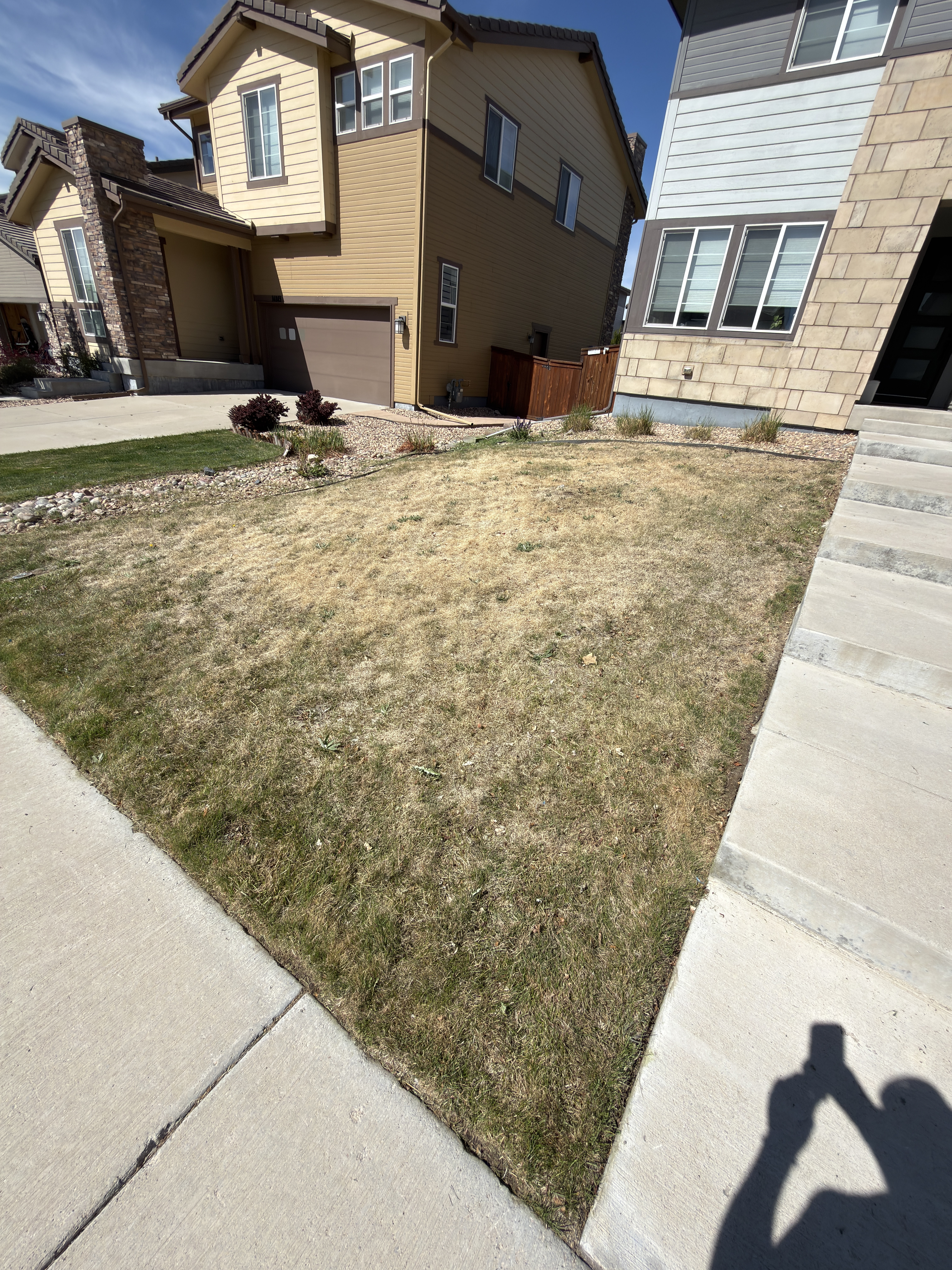 Before grass painting side two